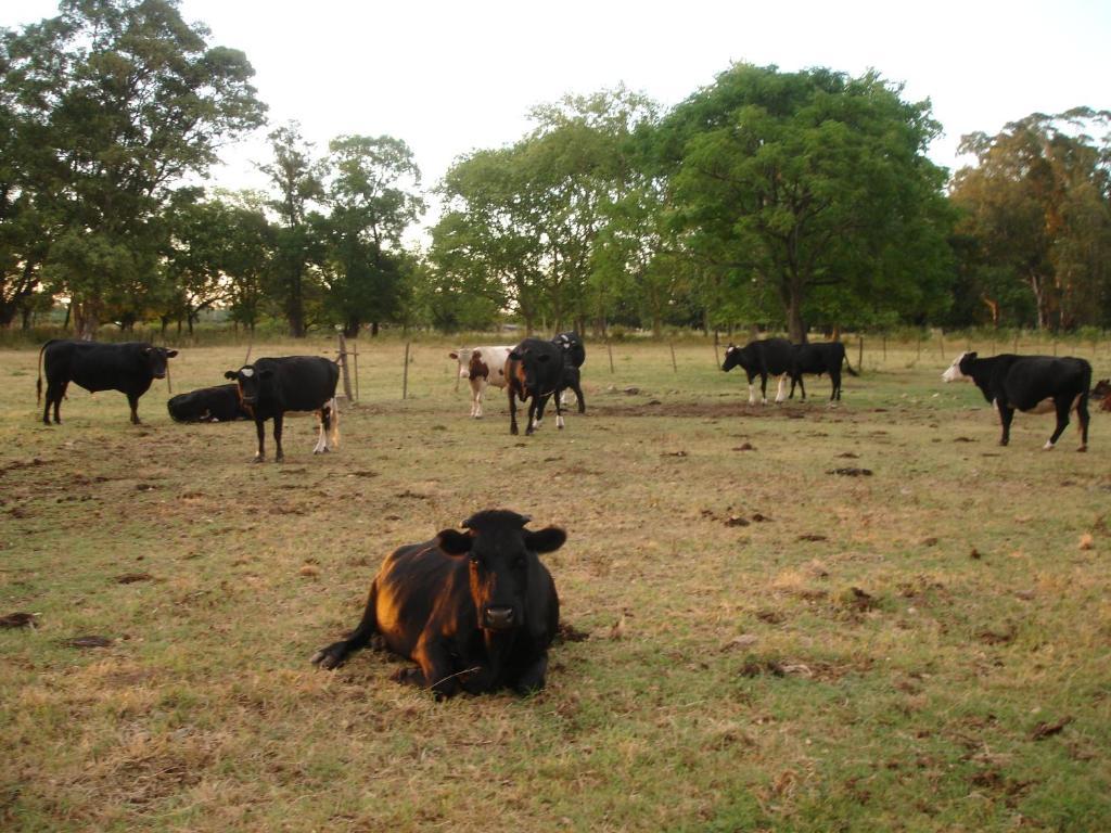Hotel De Campo La Morena Ezeiza Bagian luar foto